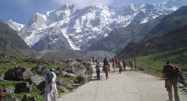 Trans Himalayan Safari Tour
