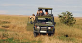 jeep safari