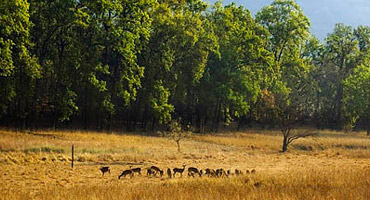 slideshow_large