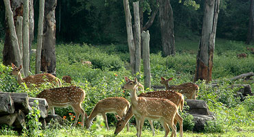 slideshow_large